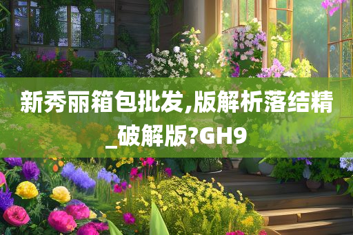 新秀丽箱包批发,版解析落结精_破解版?GH9