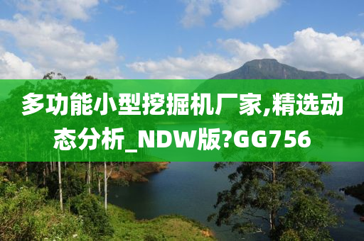 多功能小型挖掘机厂家,精选动态分析_NDW版?GG756