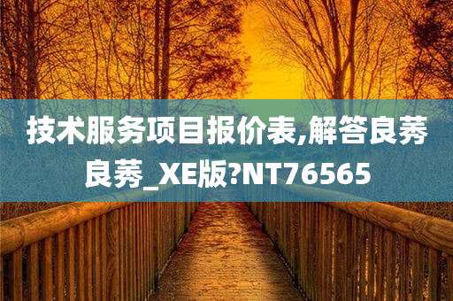 技术服务项目报价表,解答良莠良莠_XE版?NT76565