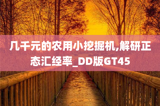 几千元的农用小挖掘机,解研正态汇经率_DD版GT45