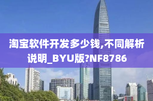 淘宝软件开发多少钱,不同解析说明_BYU版?NF8786