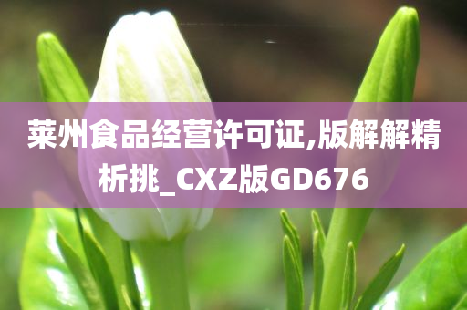 莱州食品经营许可证,版解解精析挑_CXZ版GD676