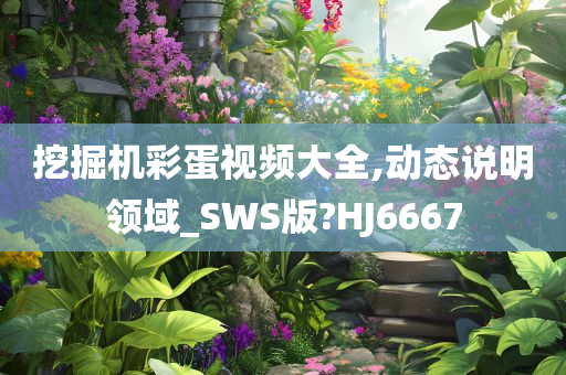 挖掘机彩蛋视频大全,动态说明领域_SWS版?HJ6667