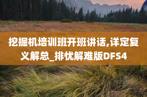 挖掘机培训班开班讲话,详定复义解总_排忧解难版DFS4