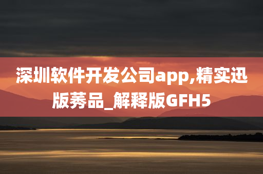 深圳软件开发公司app,精实迅版莠品_解释版GFH5