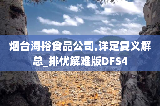 DFS4 第2页