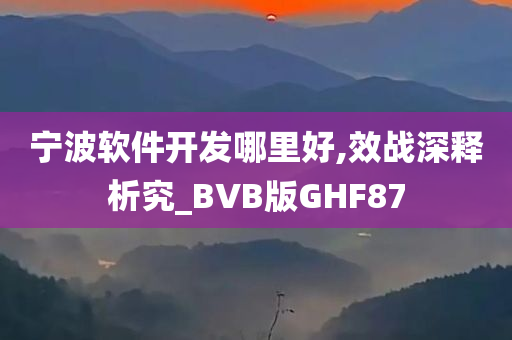 宁波软件开发哪里好,效战深释析究_BVB版GHF87