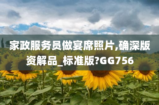 家政服务员做宴席照片,确深版资解品_标准版?GG756