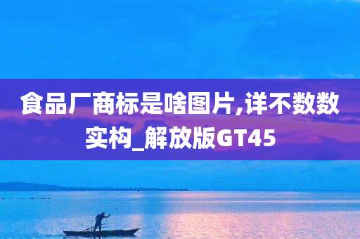 食品厂商标是啥图片,详不数数实构_解放版GT45