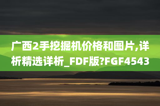 广西2手挖掘机价格和图片,详析精选详析_FDF版?FGF4543