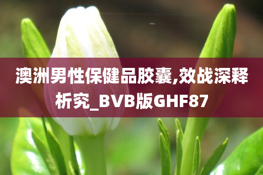 澳洲男性保健品胶囊,效战深释析究_BVB版GHF87