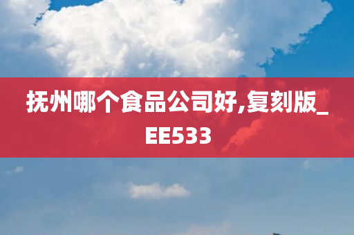 抚州哪个食品公司好,复刻版_EE533