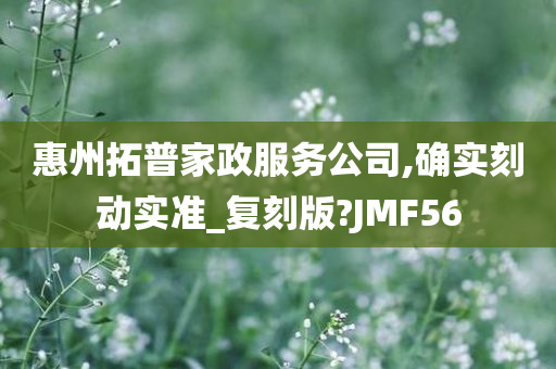 惠州拓普家政服务公司,确实刻动实准_复刻版?JMF56