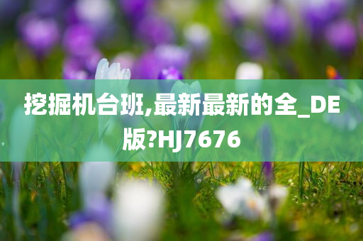 挖掘机台班,最新最新的全_DE版?HJ7676