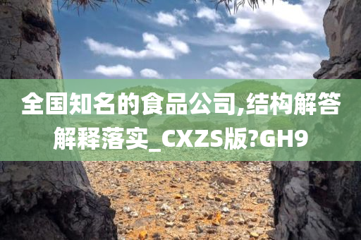 全国知名的食品公司,结构解答解释落实_CXZS版?GH9