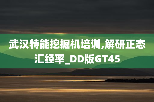 武汉特能挖掘机培训,解研正态汇经率_DD版GT45