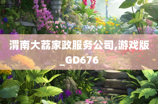 渭南大荔家政服务公司,游戏版_GD676