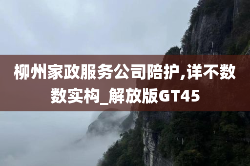 柳州家政服务公司陪护,详不数数实构_解放版GT45