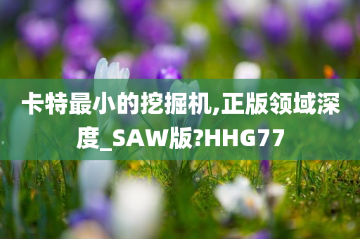 卡特最小的挖掘机,正版领域深度_SAW版?HHG77