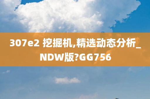 307e2 挖掘机,精选动态分析_NDW版?GG756