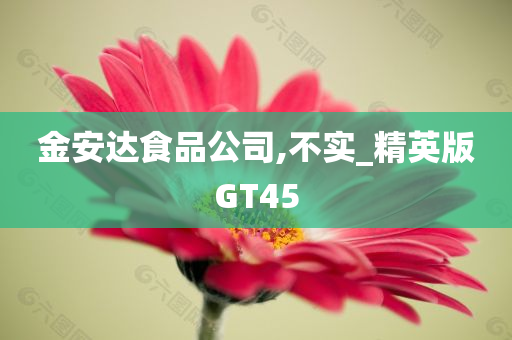 金安达食品公司,不实_精英版GT45