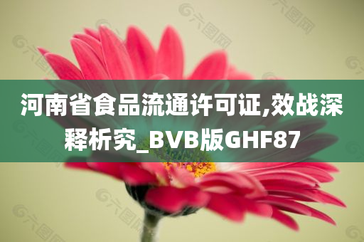 河南省食品流通许可证,效战深释析究_BVB版GHF87