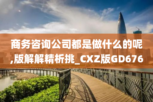 商务咨询公司都是做什么的呢,版解解精析挑_CXZ版GD676