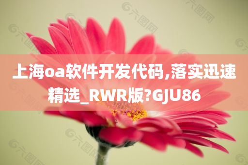 上海oa软件开发代码,落实迅速精选_RWR版?GJU86