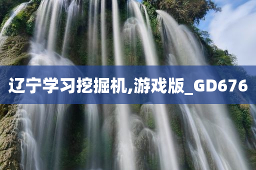 辽宁学习挖掘机,游戏版_GD676