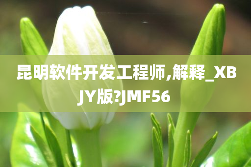 昆明软件开发工程师,解释_XBJY版?JMF56