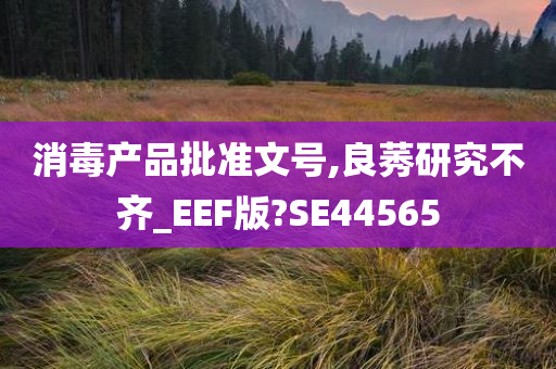 消毒产品批准文号,良莠研究不齐_EEF版?SE44565