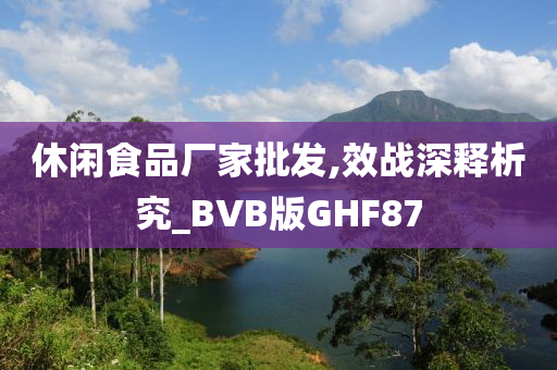 休闲食品厂家批发,效战深释析究_BVB版GHF87