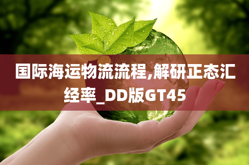 国际海运物流流程,解研正态汇经率_DD版GT45