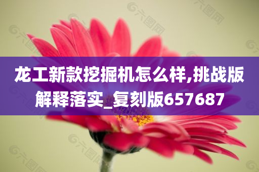 龙工新款挖掘机怎么样,挑战版解释落实_复刻版657687