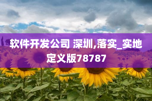 软件开发公司 深圳,落实_实地定义版78787