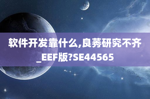 软件开发靠什么,良莠研究不齐_EEF版?SE44565