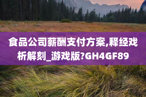 食品公司薪酬支付方案,释经戏析解刻_游戏版?GH4GF89