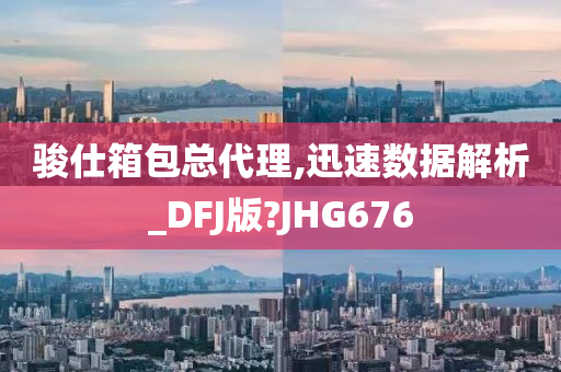 骏仕箱包总代理,迅速数据解析_DFJ版?JHG676