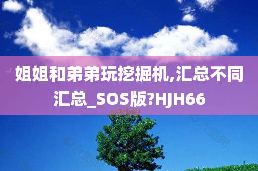 姐姐和弟弟玩挖掘机,汇总不同汇总_SOS版?HJH66