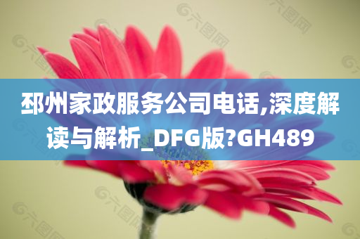 邳州家政服务公司电话,深度解读与解析_DFG版?GH489