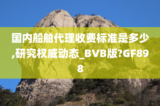 国内船舶代理收费标准是多少,研究权威动态_BVB版?GF898