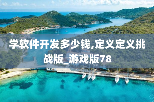 学软件开发多少钱,定义定义挑战版_游戏版78