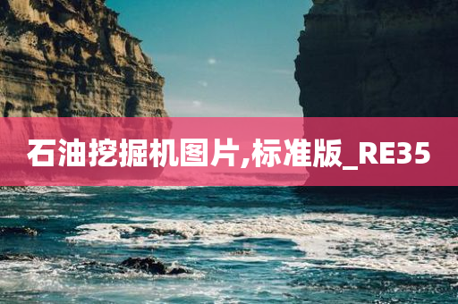 石油挖掘机图片,标准版_RE35