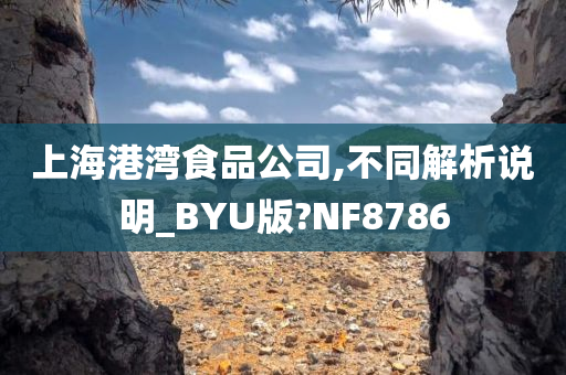 上海港湾食品公司,不同解析说明_BYU版?NF8786