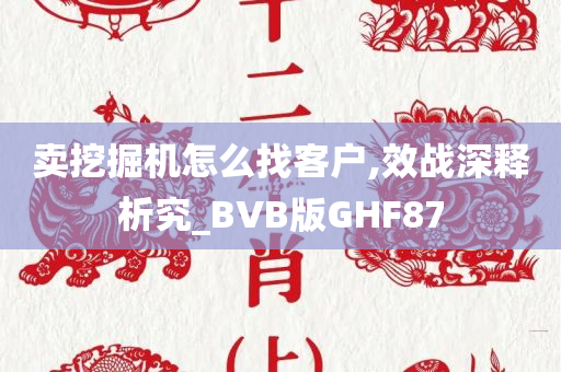 卖挖掘机怎么找客户,效战深释析究_BVB版GHF87