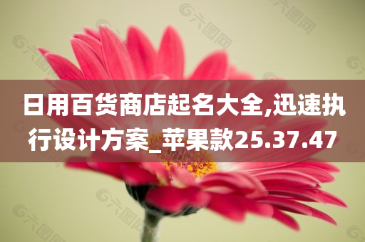 日用百货商店起名大全,迅速执行设计方案_苹果款25.37.47