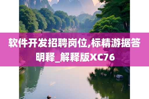 软件开发招聘岗位,标精游据答明释_解释版XC76