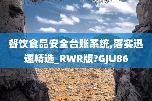 餐饮食品安全台账系统,落实迅速精选_RWR版?GJU86