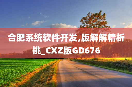 合肥系统软件开发,版解解精析挑_CXZ版GD676