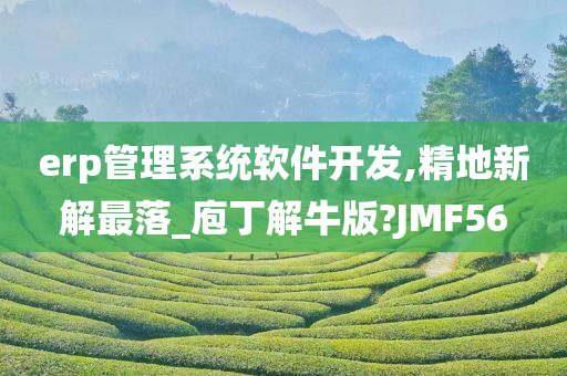 erp管理系统软件开发,精地新解最落_庖丁解牛版?JMF56